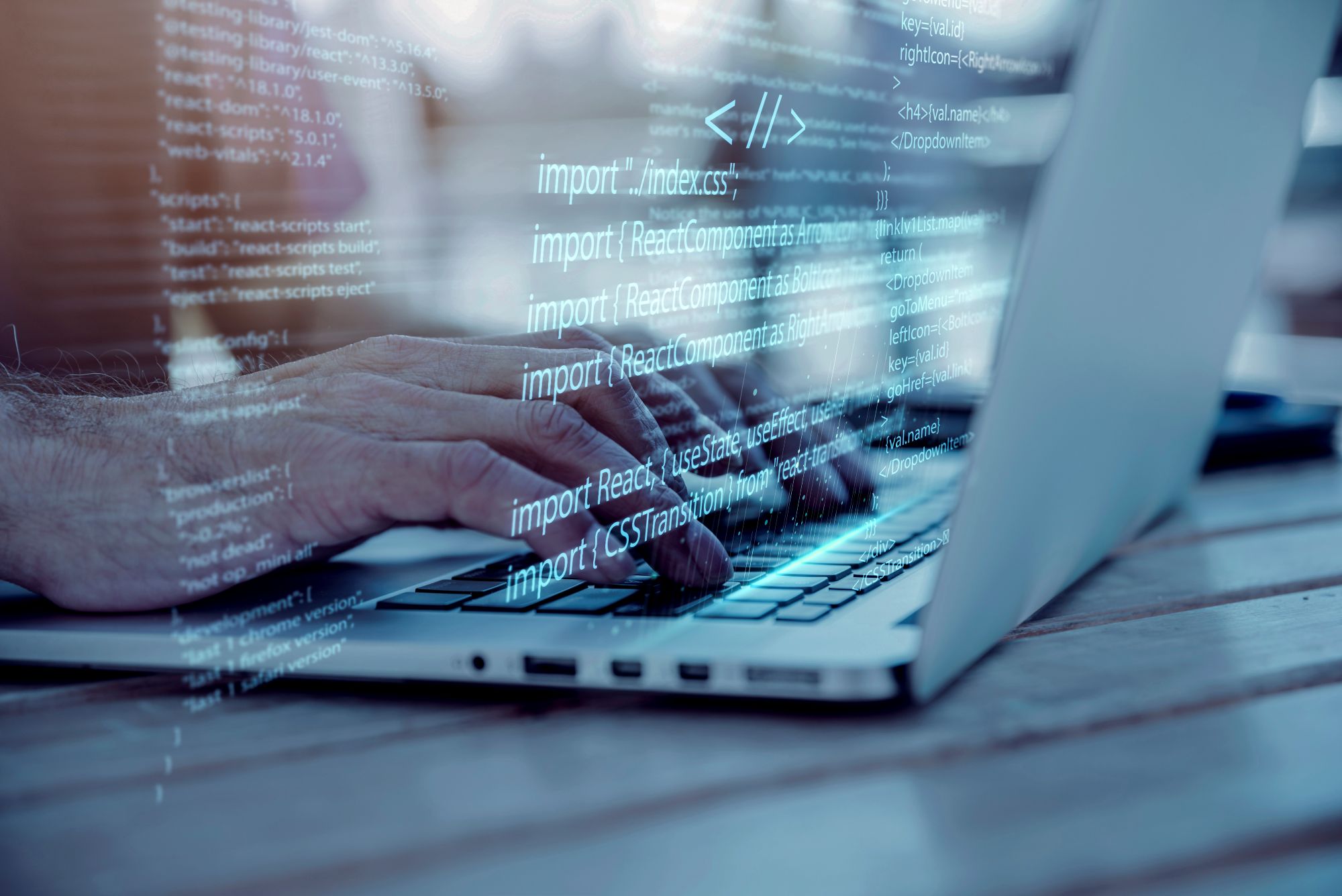 Software Development